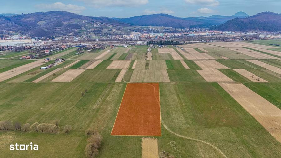 Teren de 8557 mp, în Plaiul Foii