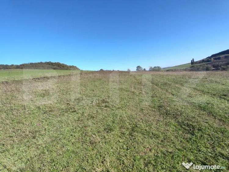 Teren de 2900 mp, în Central
