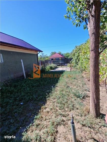 Casă cu 3 camere decomandat cu Teren 568 Mp în Movila Banului