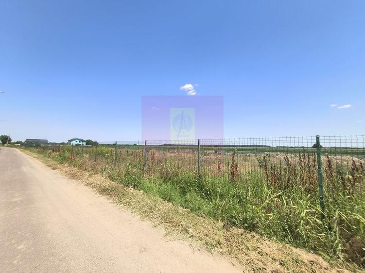 Teren de 582 mp, în Copăceni