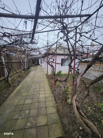 Casa cu 3 camere in Serbanesti - 16