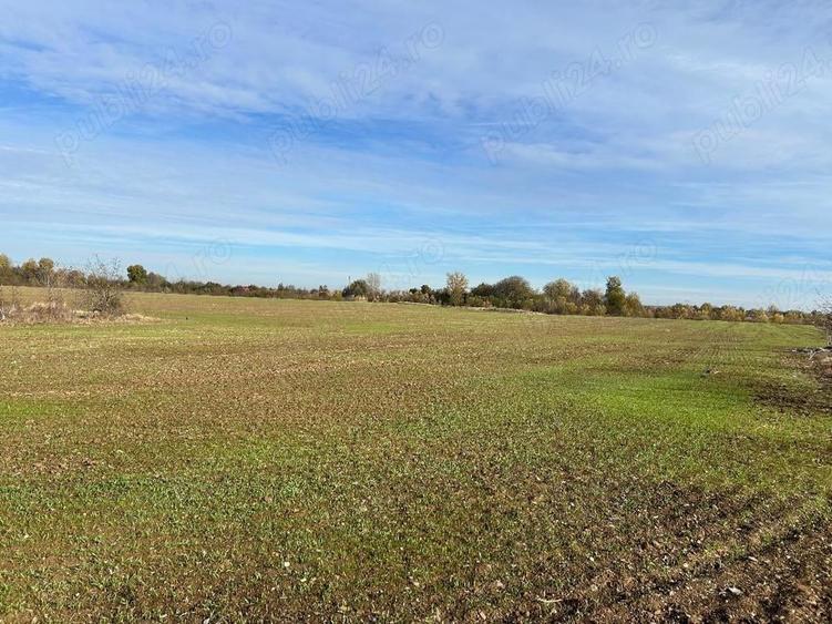 Teren de 5840 mp, în Clinceni