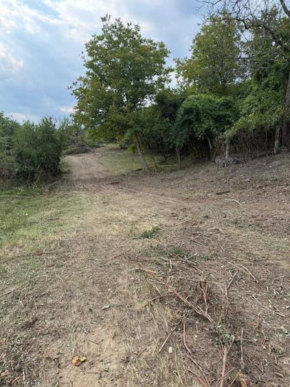 Teren de 5000 mp, în Păușești