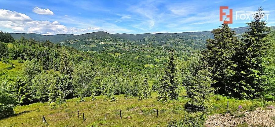 Teren de 5141 mp, în Costești (Albac)