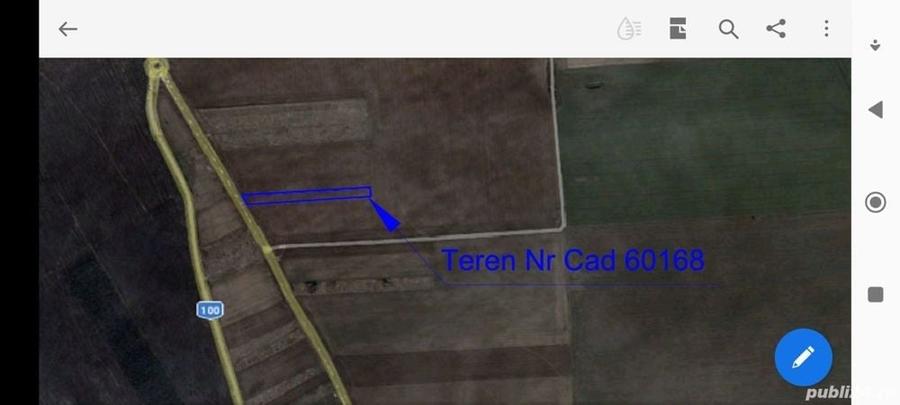 Teren de 5000 mp, în Brănești