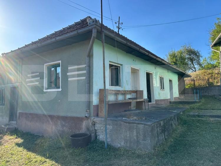 Casă individuală cu 7 camere cu Teren 7247 Mp în Hărțăgani