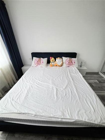 Apartament cu 3 camere decomandat, mobilat în Palazu Mare