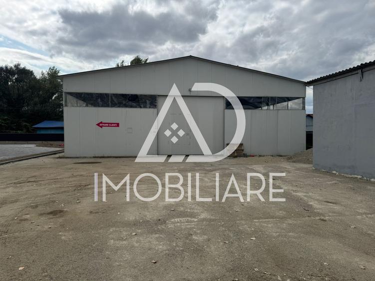 Hală industrială de închiriat – Târgu Jiu, Str. Tineretului - 8
