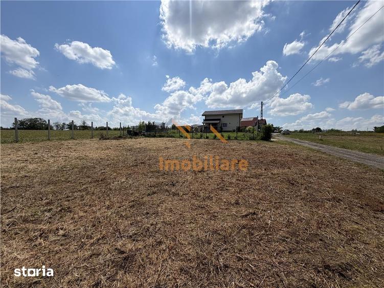 TEREN INTRAVILAN 800 MP | ZONA PALEU | BIHOR - 1