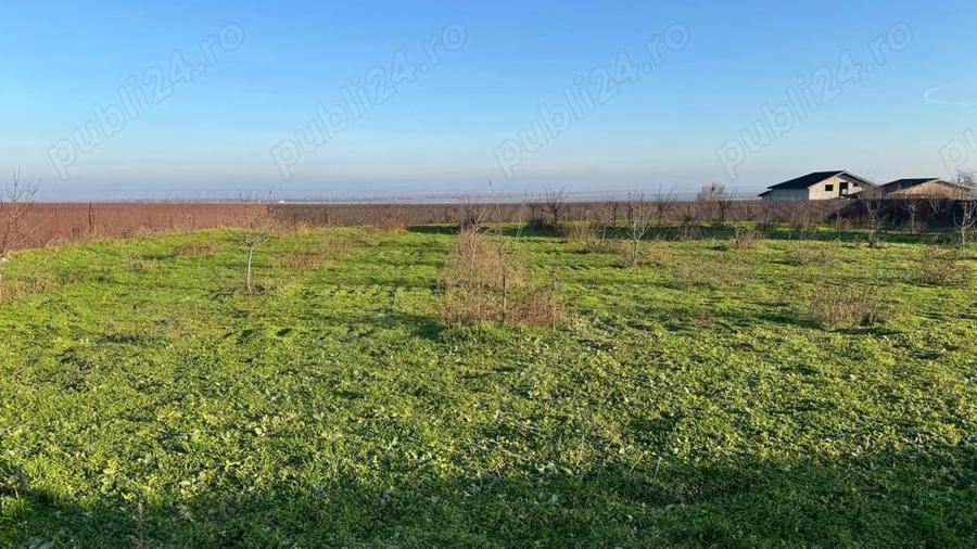 Teren de 2042 mp, în Tulucești