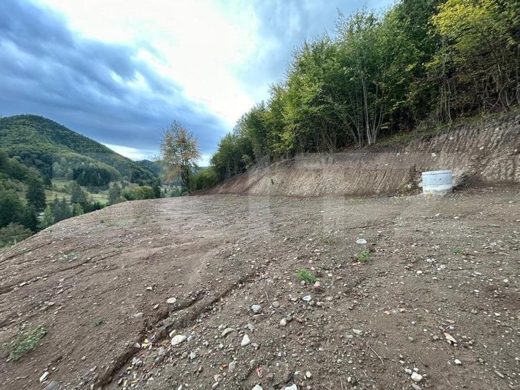 Teren Construcții intravilan de 12000 mp, în Nord-Vest