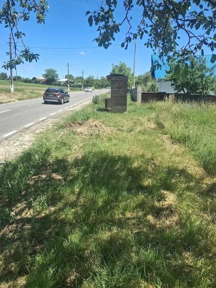 Teren de 1200 mp, în Ionășeni (Vârfu Câmpului)