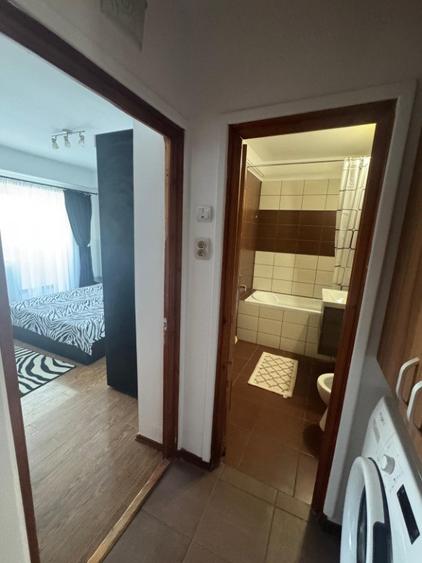 Apartament cu 3 camere decomandat în Paltiniș