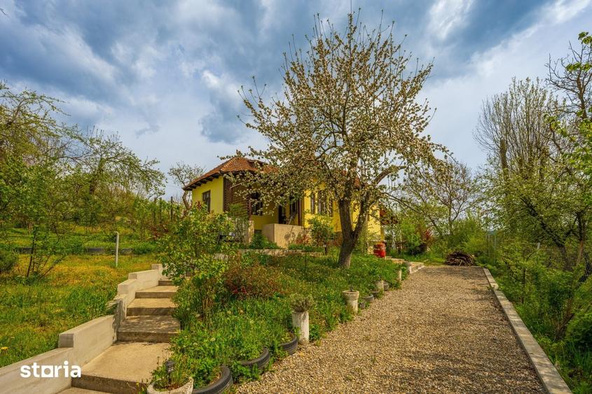 Casă cu 3 camere cu Teren 945 Mp în Provița de Sus