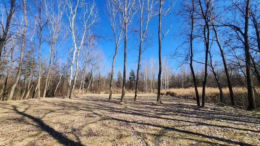 Teren 1667 MP | Zona Strand | Bulevard Dem Radulescu - 2