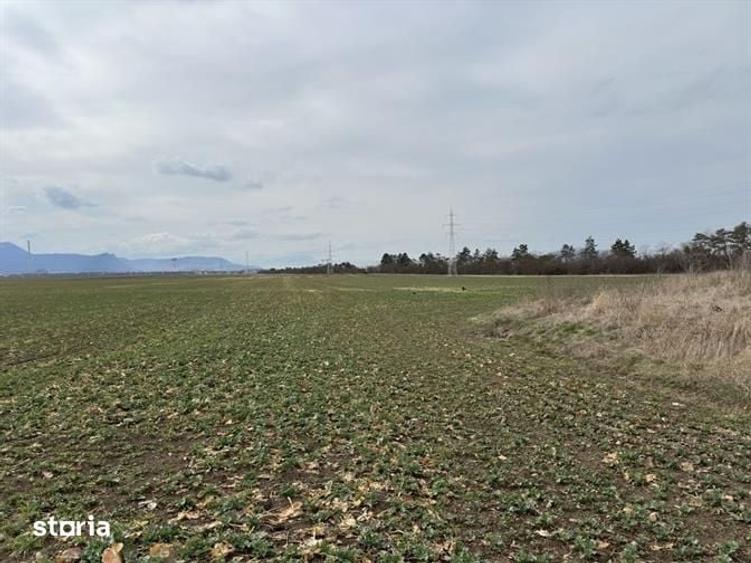 Teren de 13000 mp, în Hărman