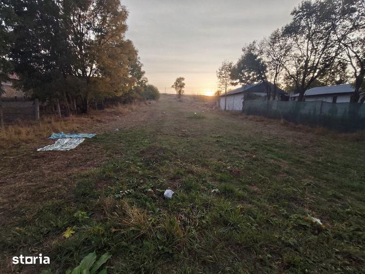 Teren de 7200 mp, în Petrești