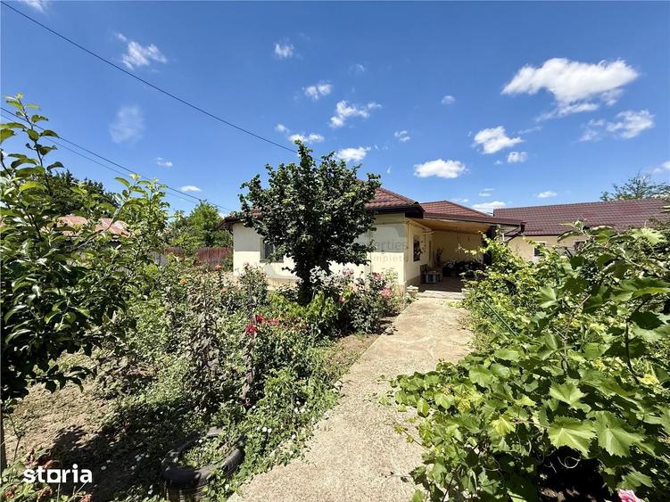 Casă cu 3 camere cu Teren 1142 Mp în Dor Mărunt