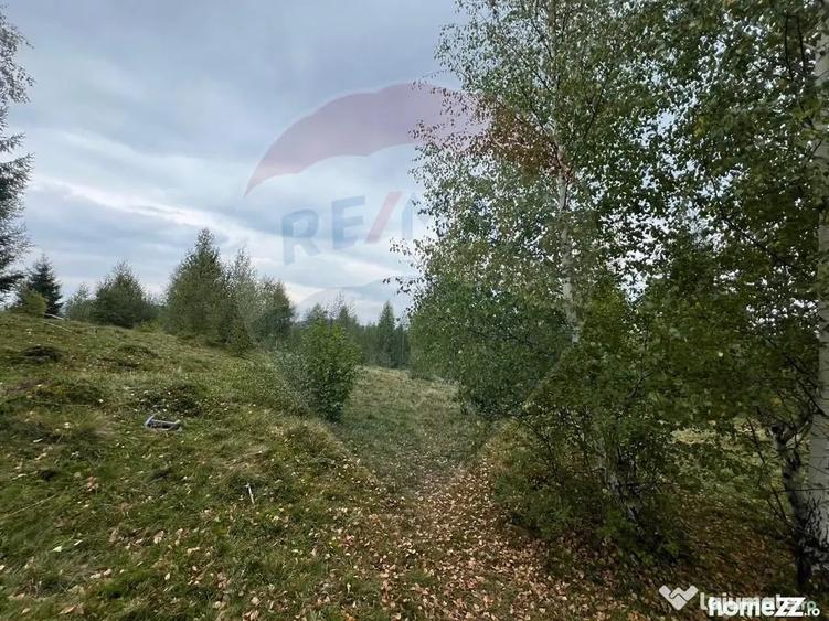 Teren extravilan parcelabil Cala?ele Padure, zona Dea... - 10