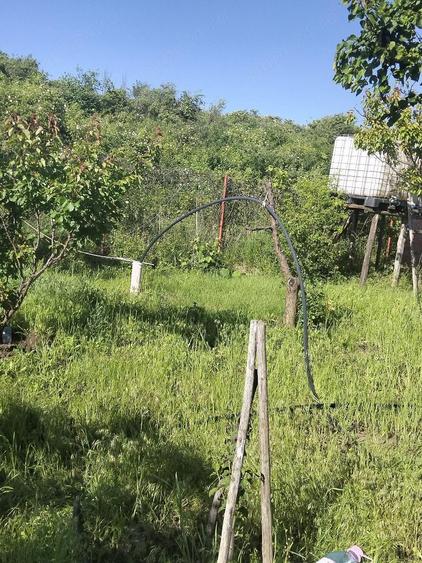 Teren de 1600 mp, în Potoceni