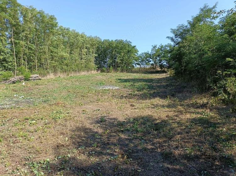 Casă cu 3 camere cu Teren 3250 Mp în Românești