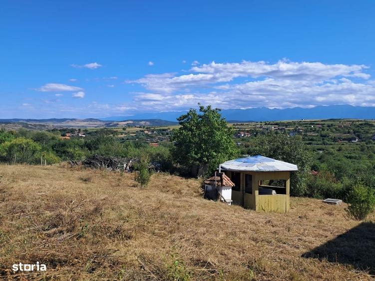 Casă cu 4 camere în Daia