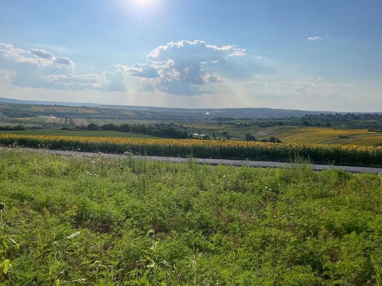 Teren intravilan ,Barnova ,Iasi, 834 mp, priveliste panoramica deosebita,langa padure! - 6
