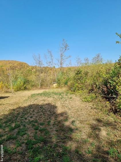 Teren de 2500 mp, în Tisău