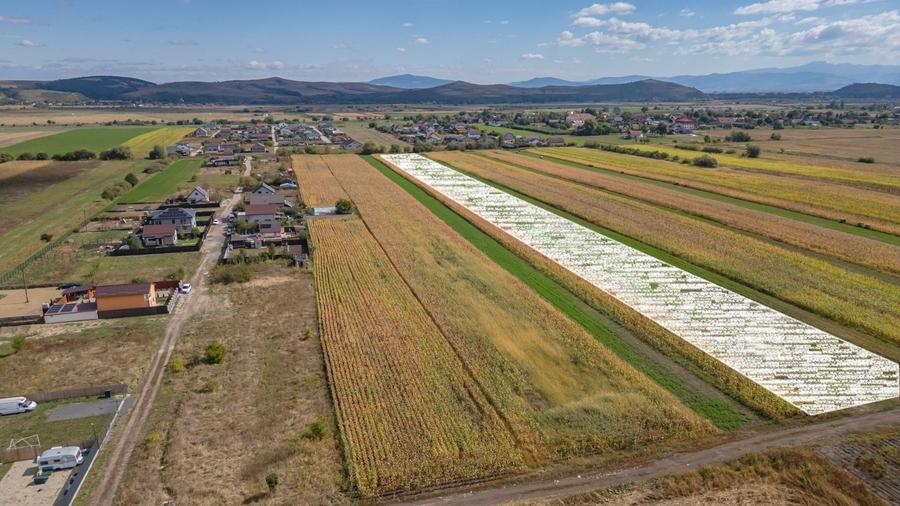 Teren Construcții intravilan de 15000 mp, în Bod