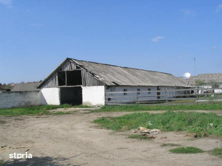 Teren de 6158 mp, în Central
