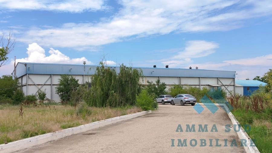 Spațiu industrial, de 1,000 mp, în Popești-Leordeni