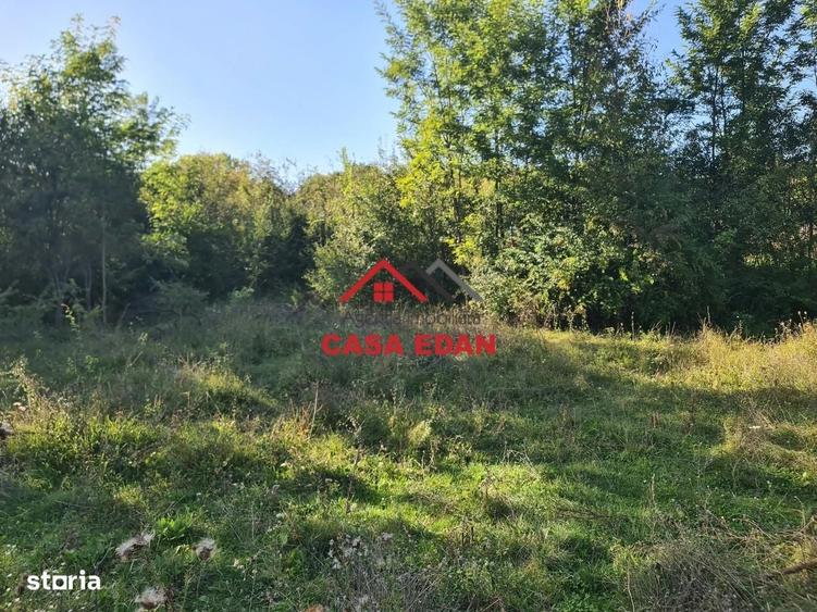 Teren intravilan in Cornu (Ph)--1490 mp--29e - 6