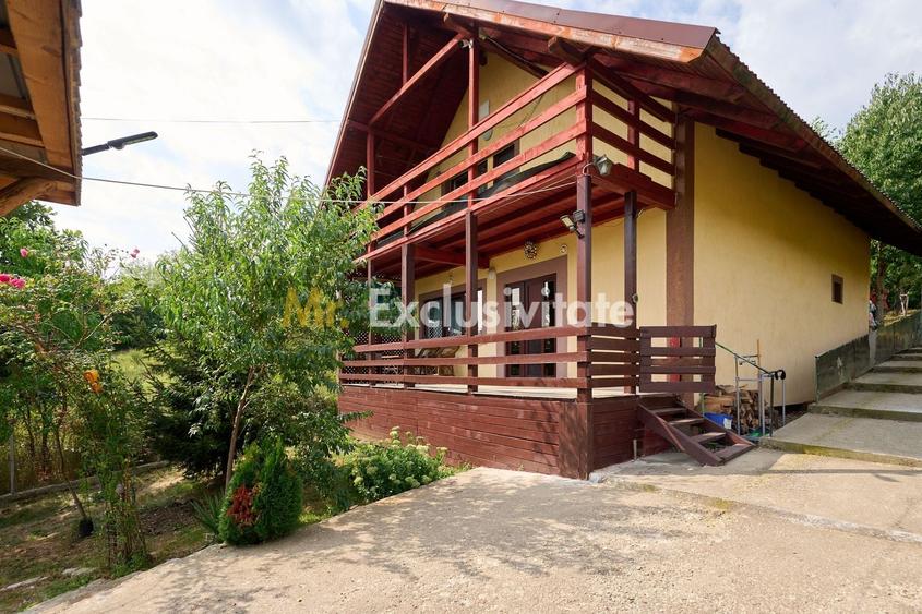 Două case in Babana,aproape de Pitești priveliște de poveste - 22