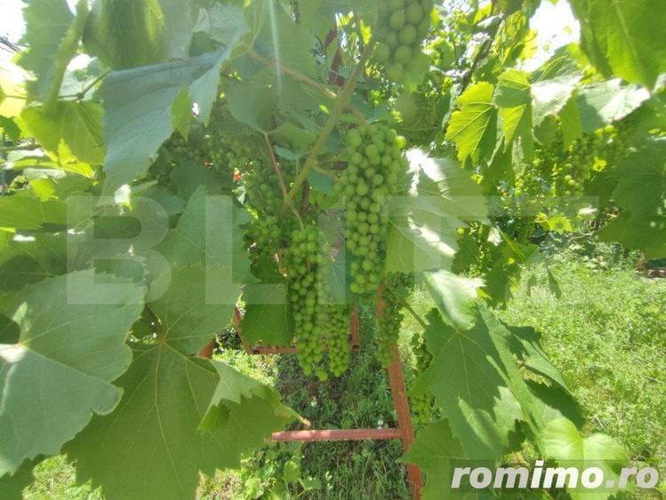 Casă cu 8 camere cu Teren 992 Mp în Cătămărești