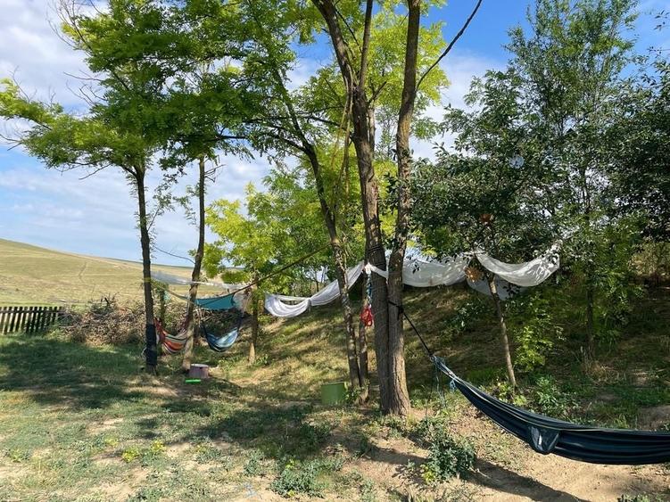 Casă cu 4 camere cu Teren 2700 Mp în Iacobeni