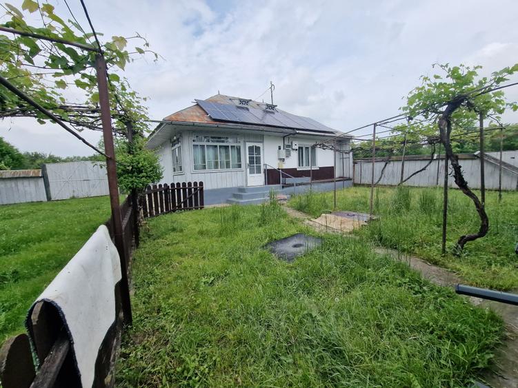 Teren Construcții intravilan de 9603 mp, în Topolița