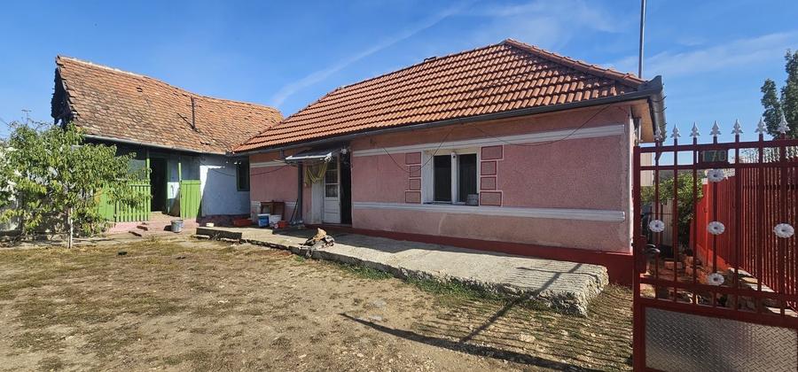 Casă cu 2 camere în Drauț