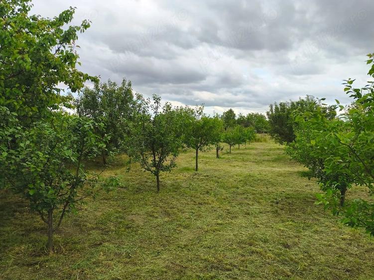 Casă cu 7 camere cu Teren 2424 Mp în Coteana