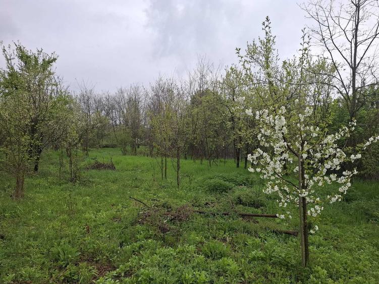 Teren de 3065 mp, în Sărățel