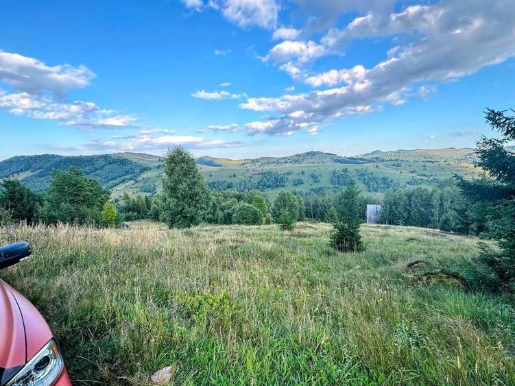 Teren de 1000 mp, în Muntele Băișorii