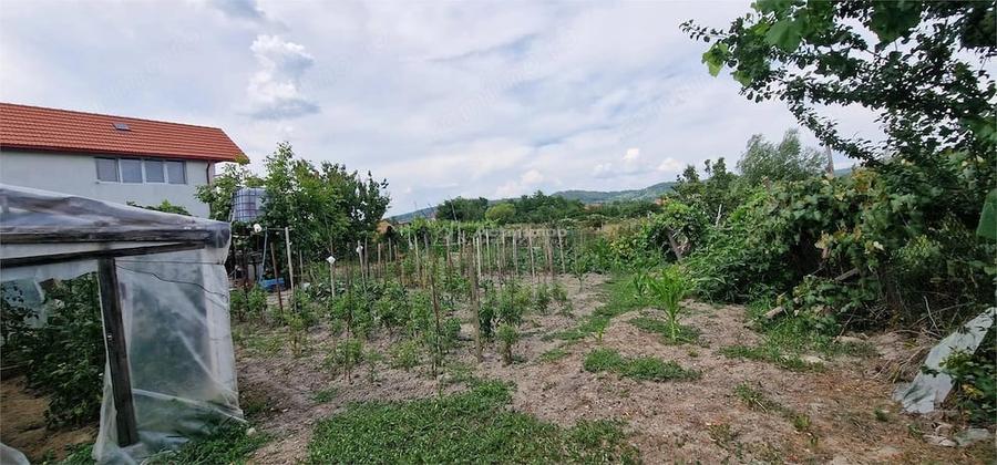 Casă cu Teren 3340 Mp în Brebu