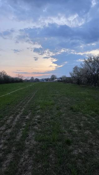 Teren de 2000 mp, în Central