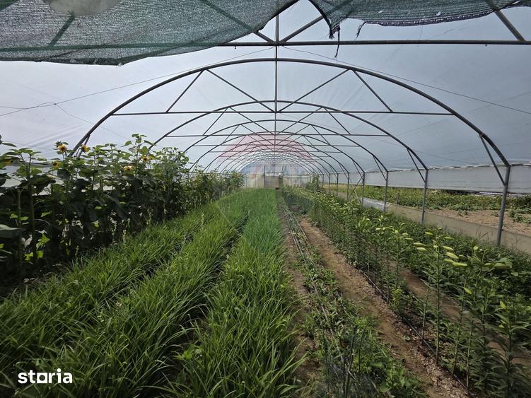 Casă cu 4 camere cu Teren 2229 Mp în Biliești