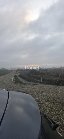 Teren izvorani ilfov padure snagov