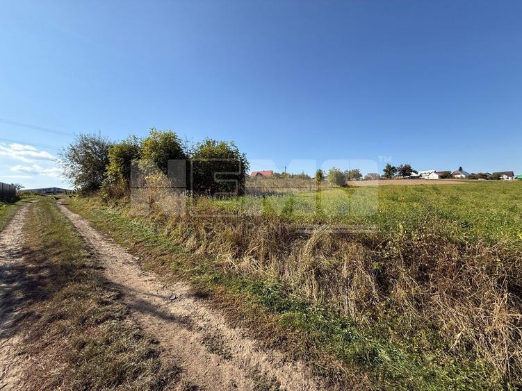 Teren Construcții intravilan de 4000 mp, în Burla