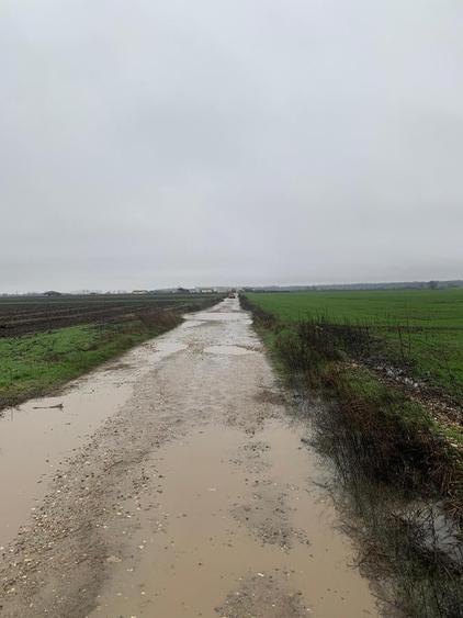 Teren Construcții intravilan de 44000 mp, în Dascălu