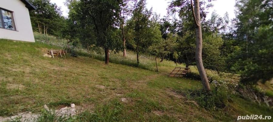 Teren intravilan la munte pentru casa , cabana , pensiune - 5