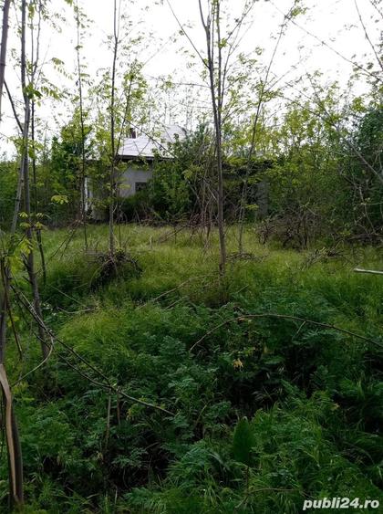 Casă cu 3 camere cu Teren 1000 Mp în Ulmu