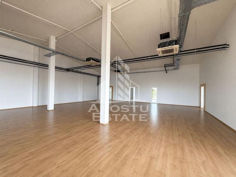 Spațiu industrial, de 1,453 mp, în Torontalului