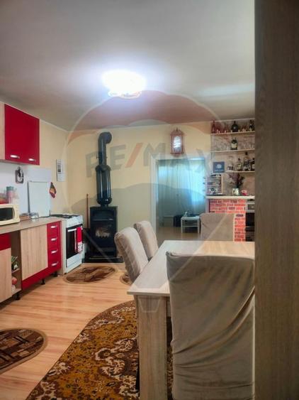 Casa la tara in satul Retis, comuna Bradeni, aproape de ... - 14